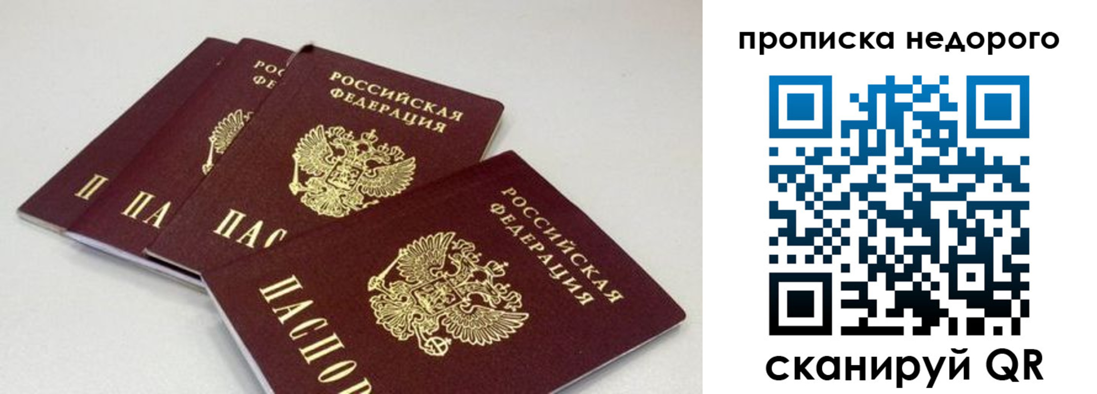 прописка штамп в Пионерском