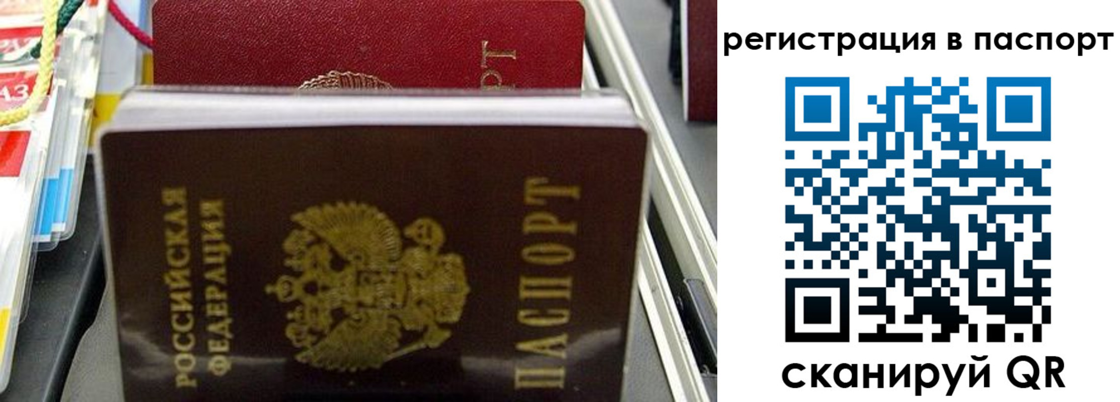 прописка для школы в Пионерском